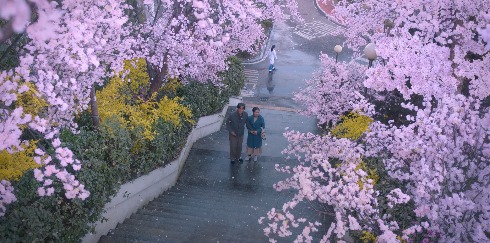 来源：第16集